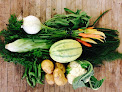 Vegan food delivery service Arctic Harvest Deliveries in Anchorage