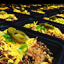 Vegan food Clean Eats Meal Prep in Secaucus