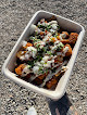 Your vegan food delivery service Wok N' Roll in Boise in Idaho